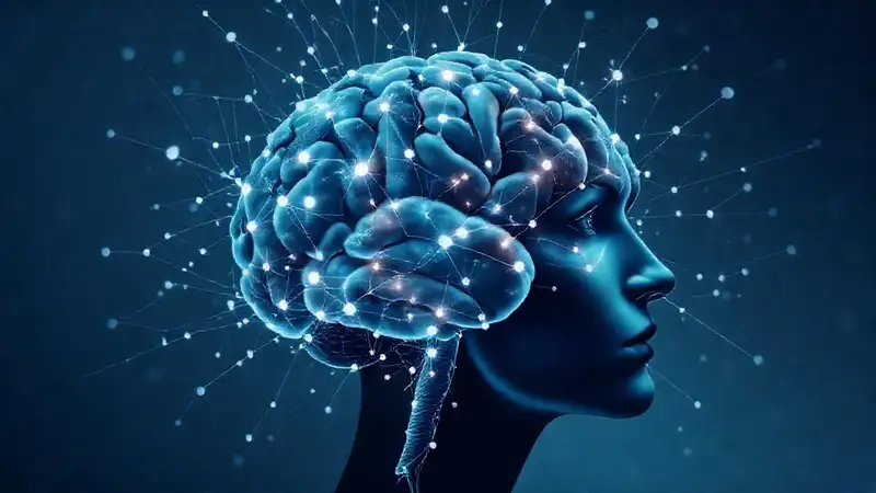 Un cerebro minimalista y enigmático